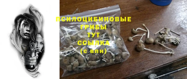 гашик Армянск